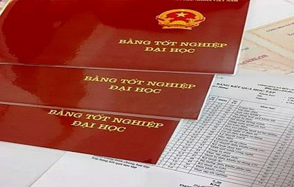 Làm Bằng Đại Học Bà Rịa Vũng Tàu Có Hồ Sơ Gốc Lấy Ngay